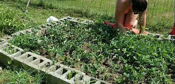  Garden PAWG pulling weeds in the strawberry patch has a big ass hotsquirtcouple